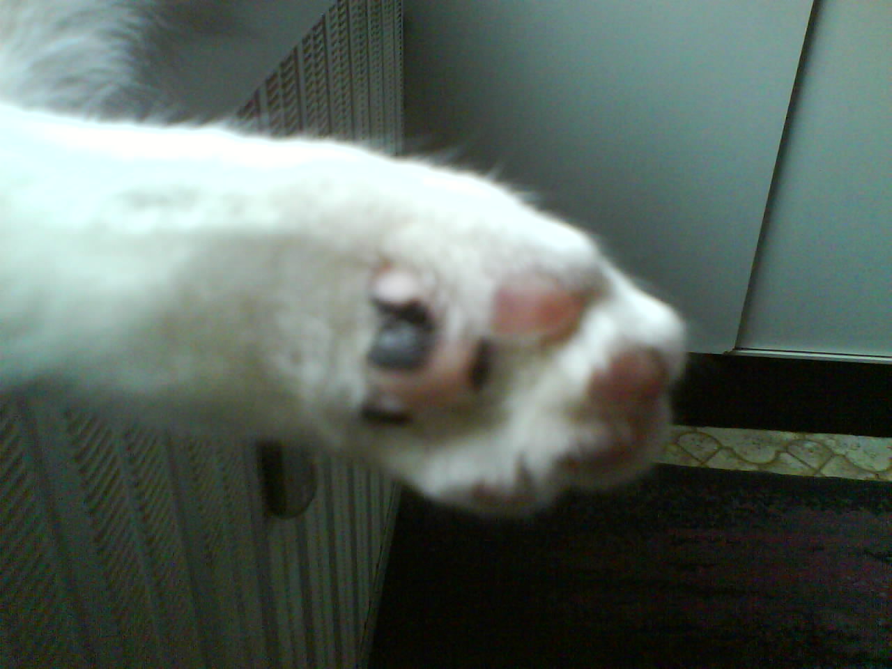 DSC00122.JPG