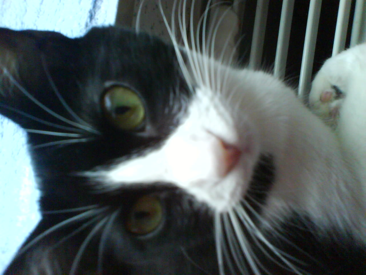 DSC00126.JPG
