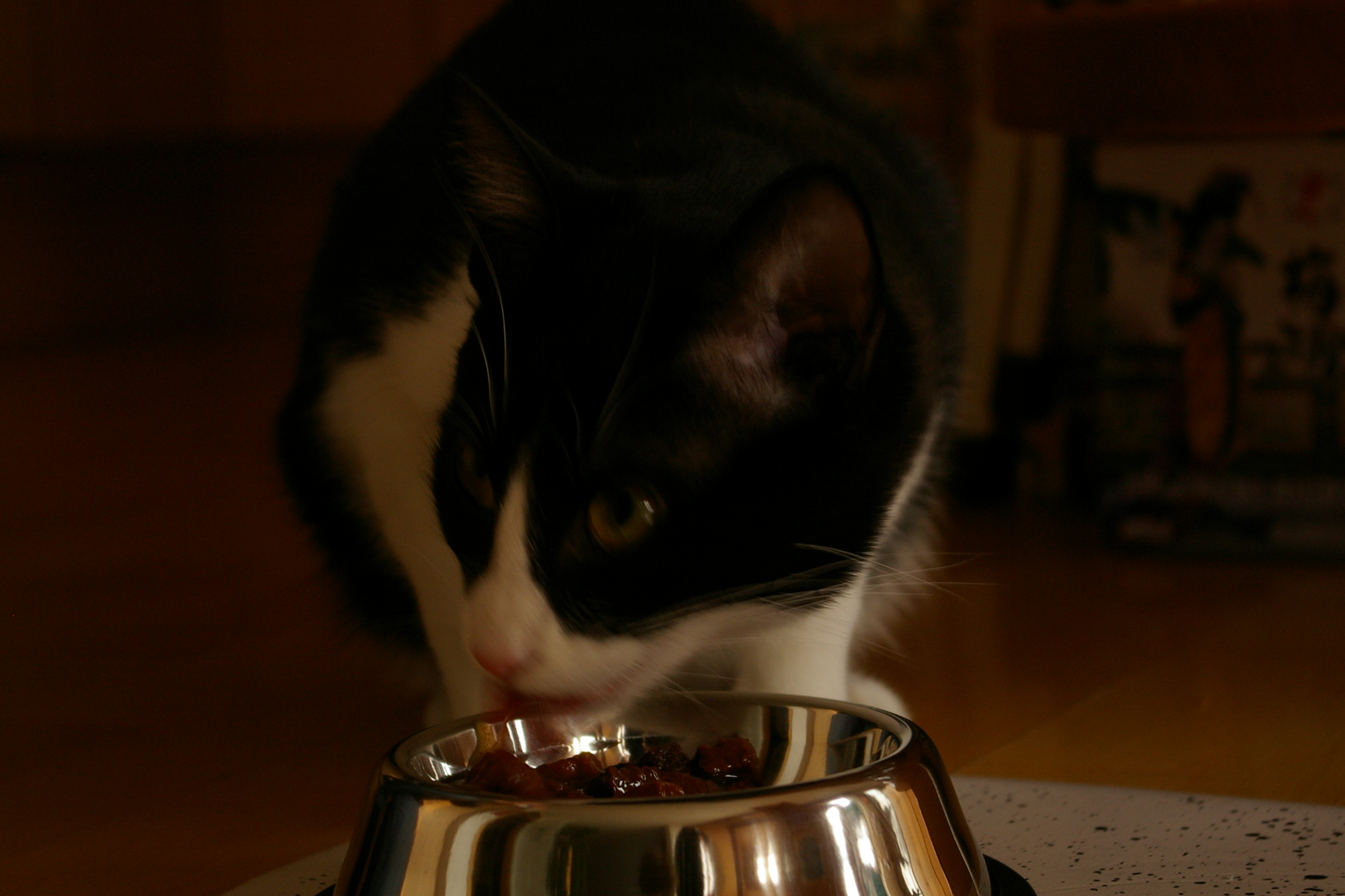 IMGP2423.JPG
