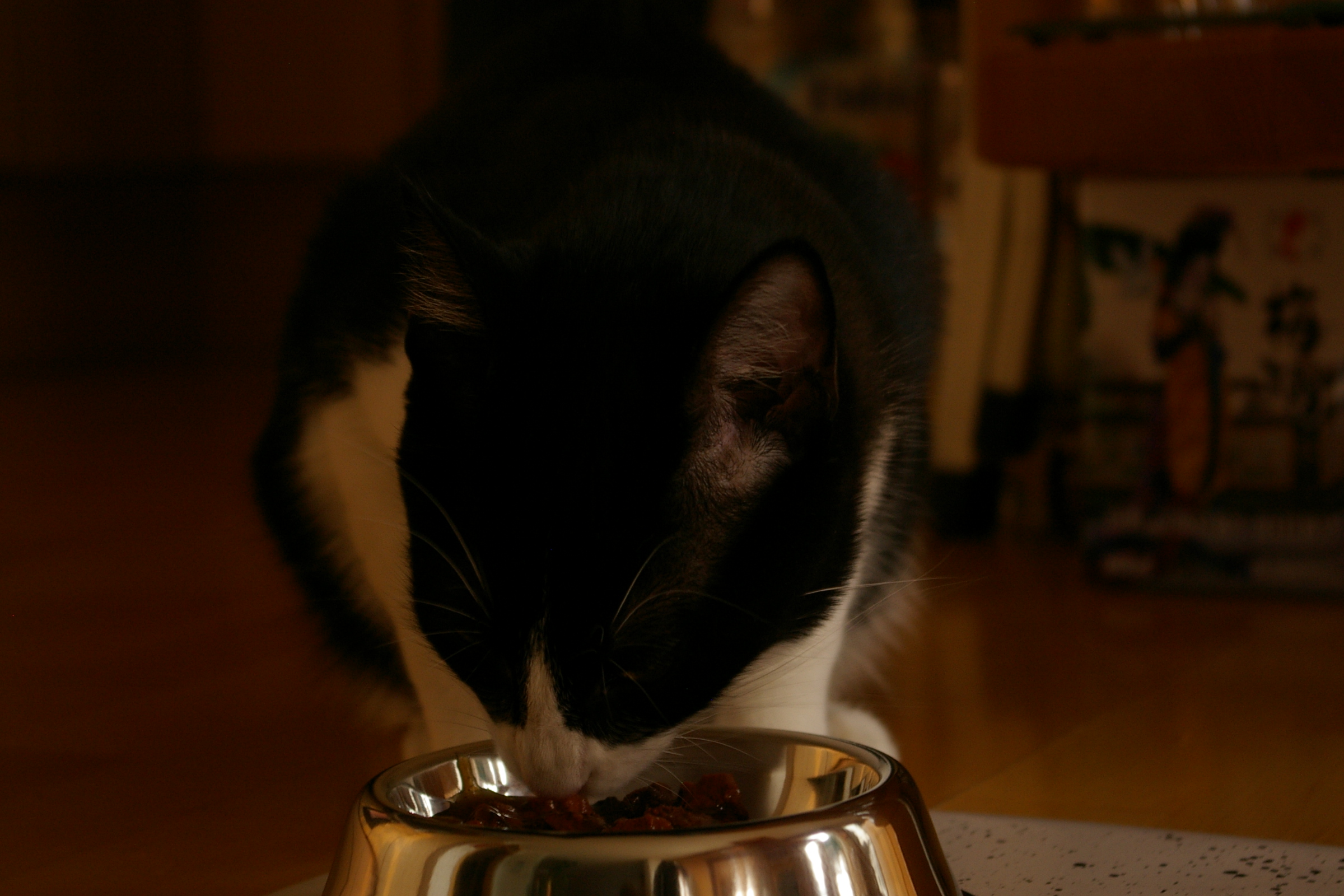 IMGP2428.JPG