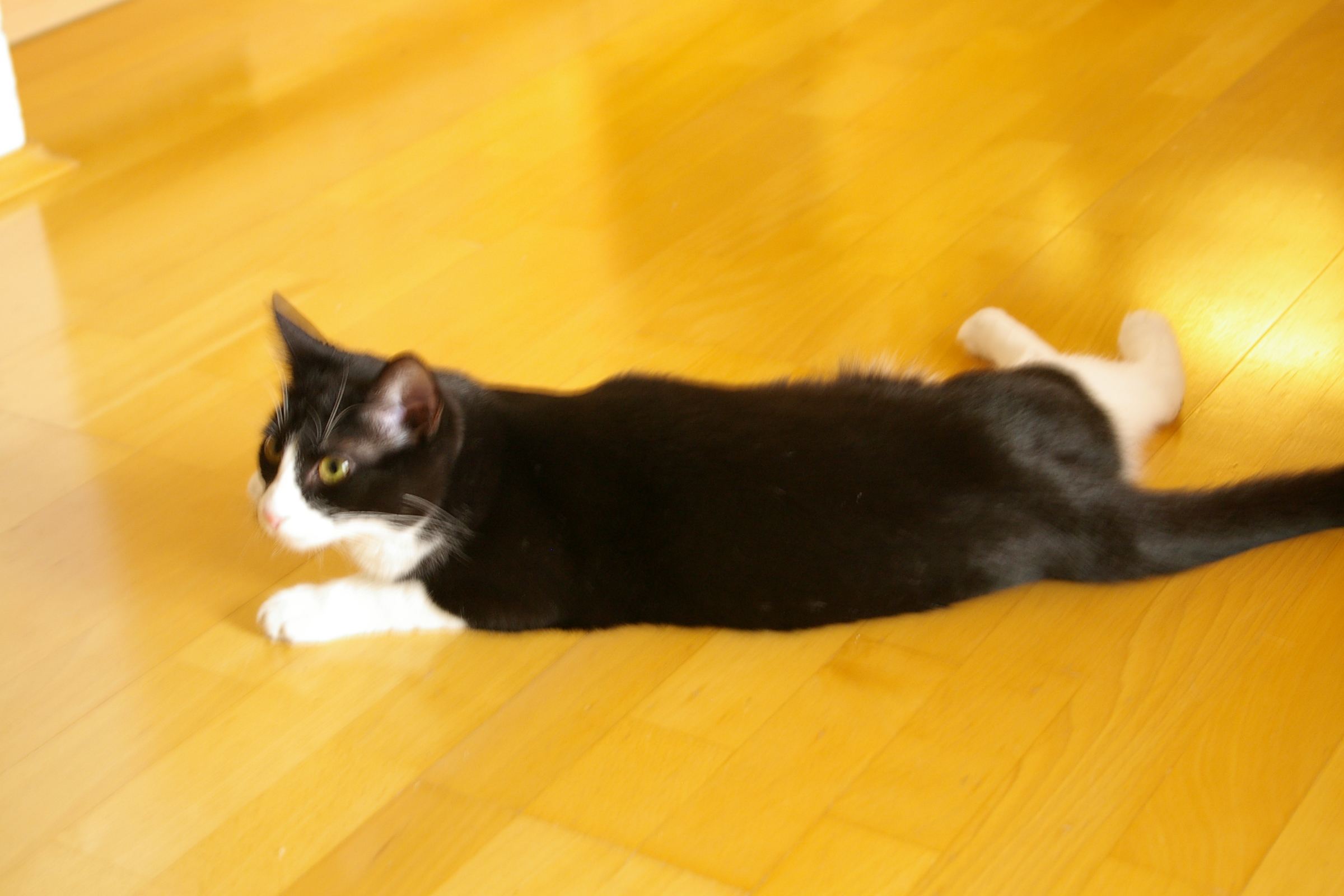 IMGP2436.JPG
