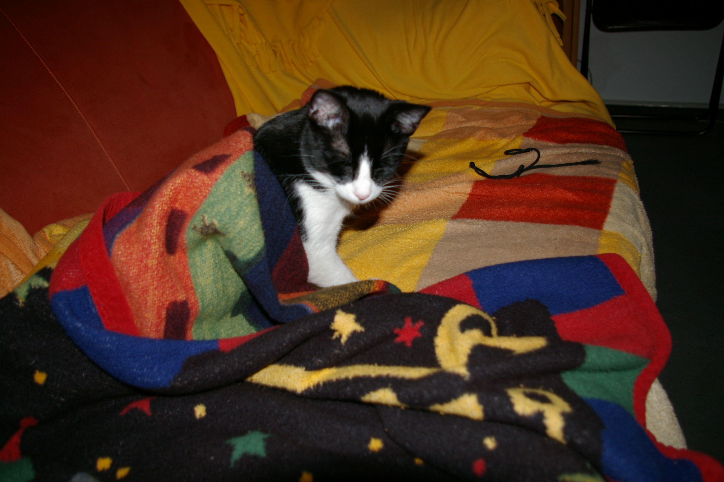 IMGP2459.JPG